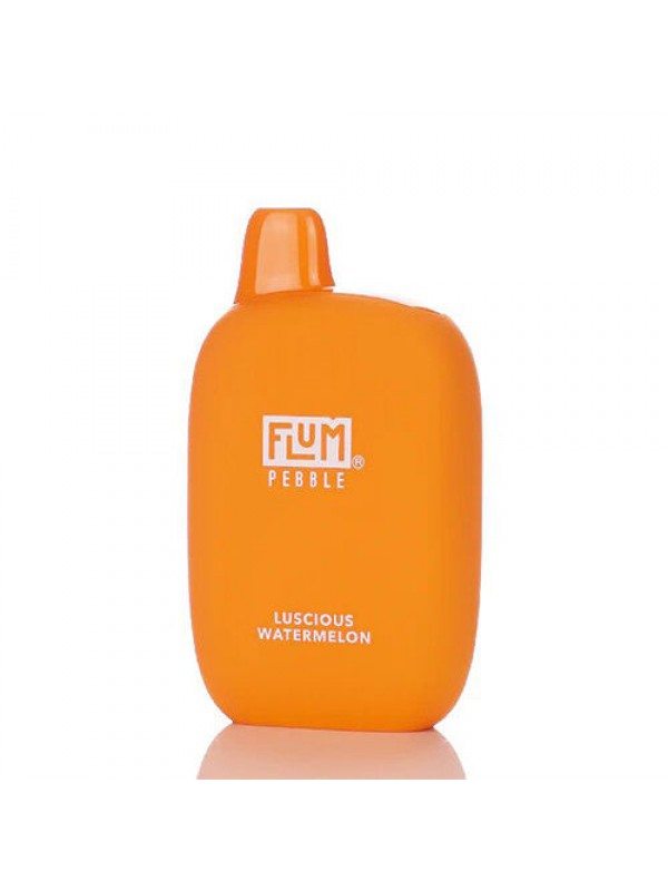 Flum Pebble Disposable Vape 6000 Puffs